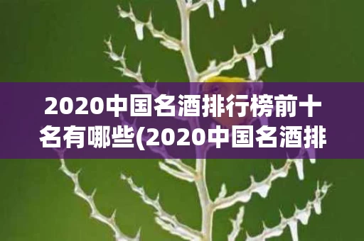 2020中国名酒排行榜前十名有哪些(2020中国名酒排行榜前十名有哪些呢)