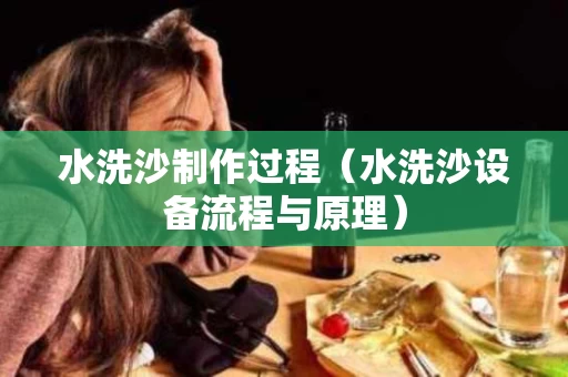 水洗沙制作过程（水洗沙设备流程与原理）