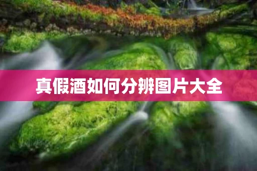 真假酒如何分辨图片大全