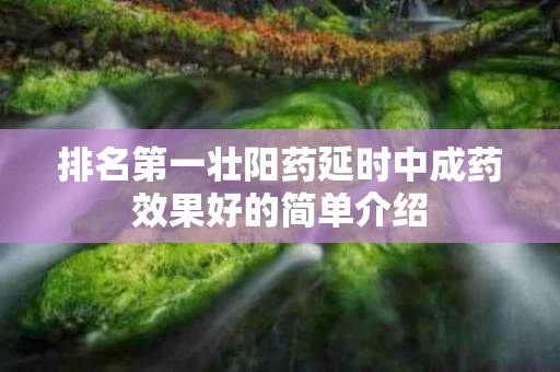 排名第一壮阳药延时中成药效果好的简单介绍