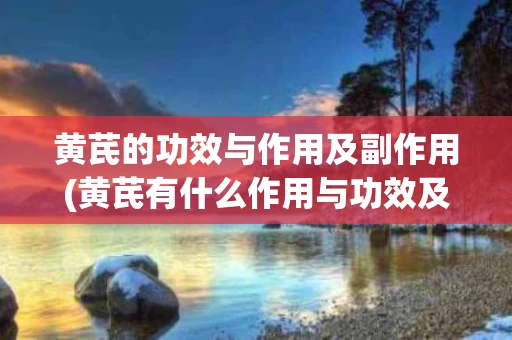 黄芪的功效与作用及副作用(黄芪有什么作用与功效及禁忌)