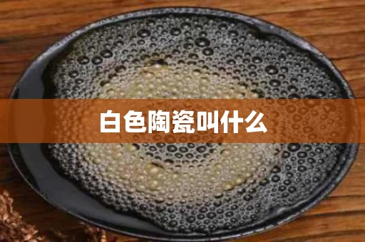 白色陶瓷叫什么