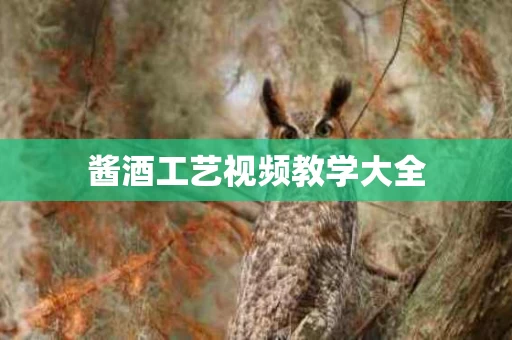 酱酒工艺视频教学大全