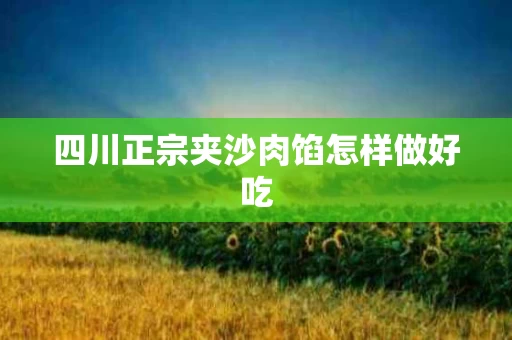 四川正宗夹沙肉馅怎样做好吃