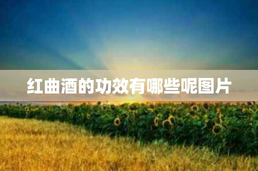 红曲酒的功效有哪些呢图片 红曲酒的功效有哪些呢图片