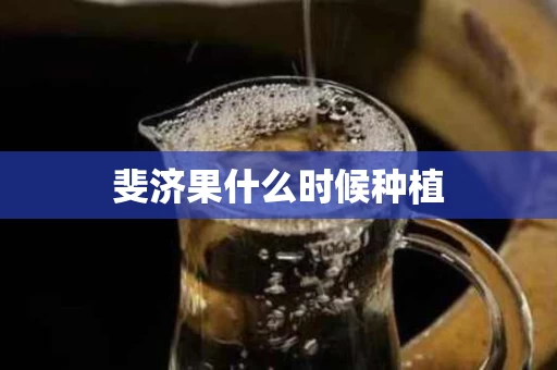 斐济果什么时候种植