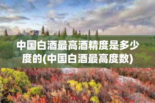 中国白酒最高酒精度是多少度的(中国白酒最高度数)