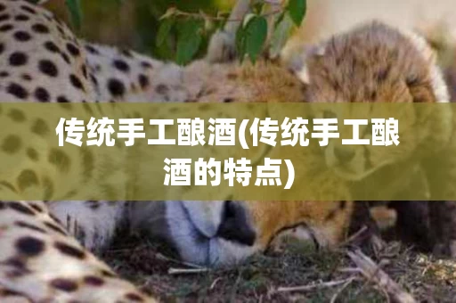 传统手工酿酒(传统手工酿酒的特点)