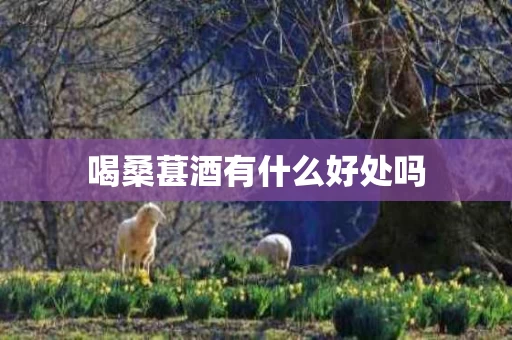 喝桑葚酒有什么好处吗