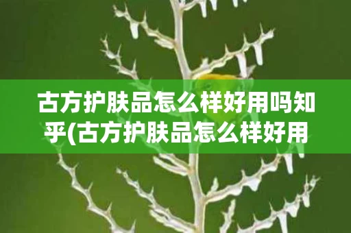 古方护肤品怎么样好用吗知乎(古方护肤品怎么样好用吗知乎文章)