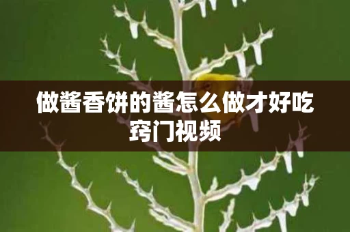 做酱香饼的酱怎么做才好吃窍门视频