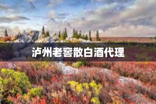 泸州老窖散白酒代理