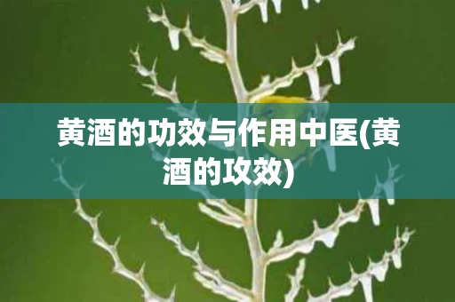 黄酒的功效与作用中医(黄酒的攻效)