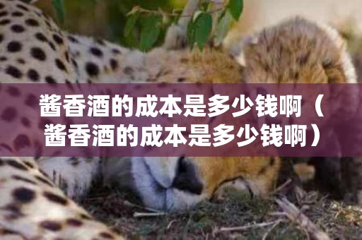 酱香酒的成本是多少钱啊（酱香酒的成本是多少钱啊）