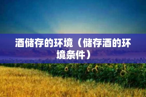 酒储存的环境（储存酒的环境条件）