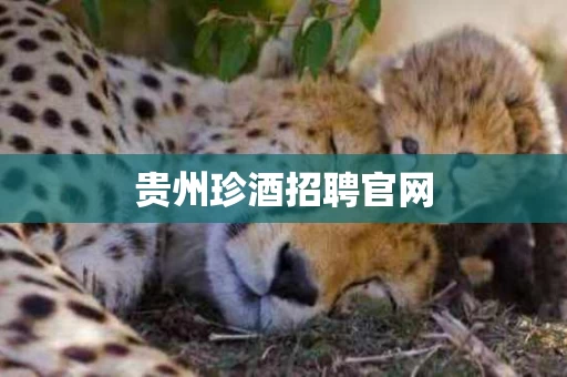 贵州珍酒招聘官网