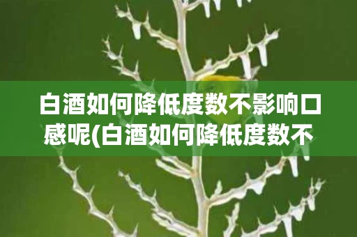 白酒如何降低度数不影响口感呢(白酒如何降低度数不影响口感呢女生)