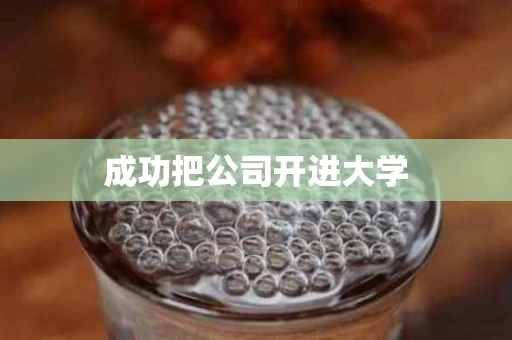 成功把公司开进大学