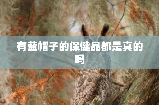 有蓝帽子的保健品都是真的吗