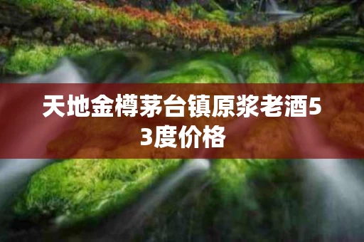 天地金樽茅台镇原浆老酒53度价格