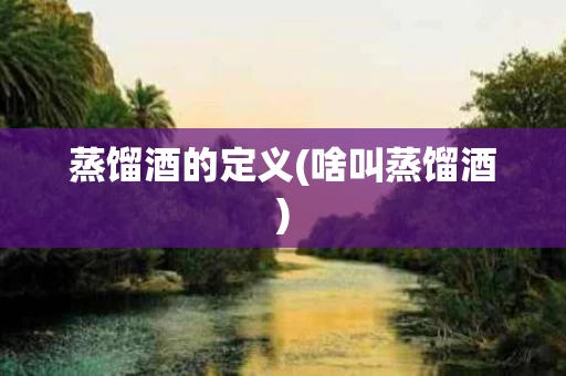 蒸馏酒的定义(啥叫蒸馏酒)
