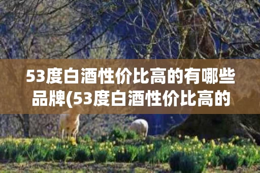 53度白酒性价比高的有哪些品牌(53度白酒性价比高的有哪些品牌好)