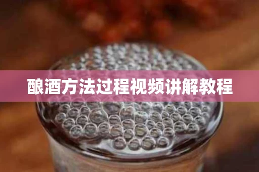 酿酒方法过程视频讲解教程