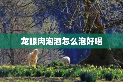 龙眼肉泡酒怎么泡好喝