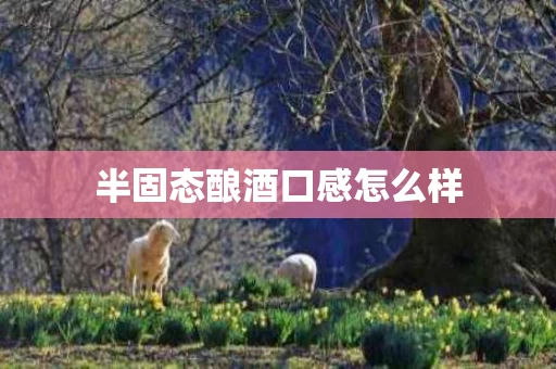 半固态酿酒口感怎么样