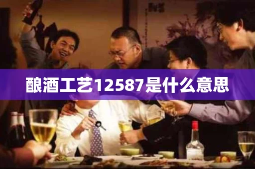 酿酒工艺12587是什么意思