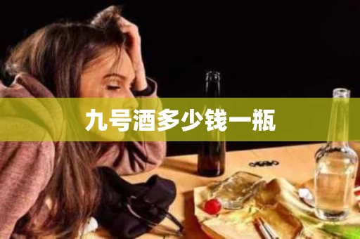 九号酒多少钱一瓶