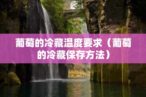 葡萄的冷藏温度要求（葡萄的冷藏保存方法）