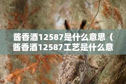 酱香酒12587是什么意思（酱香酒12587工艺是什么意思）