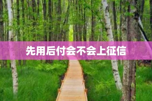 先用后付会不会上征信