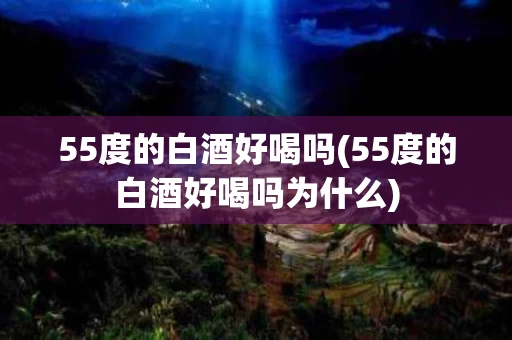 55度的白酒好喝吗(55度的白酒好喝吗为什么)