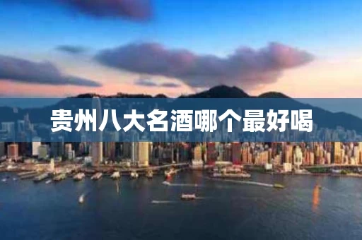 贵州八大名酒哪个最好喝