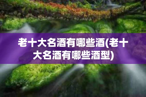 老十大名酒有哪些酒(老十大名酒有哪些酒型)