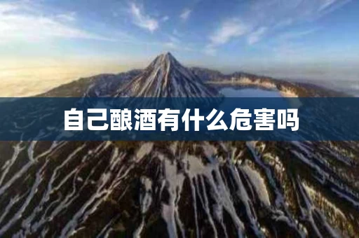自己酿酒有什么危害吗