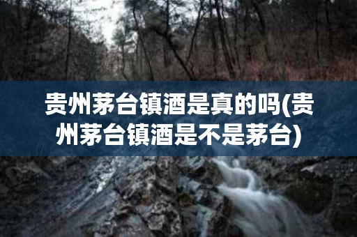 贵州茅台镇酒是真的吗(贵州茅台镇酒是不是茅台)