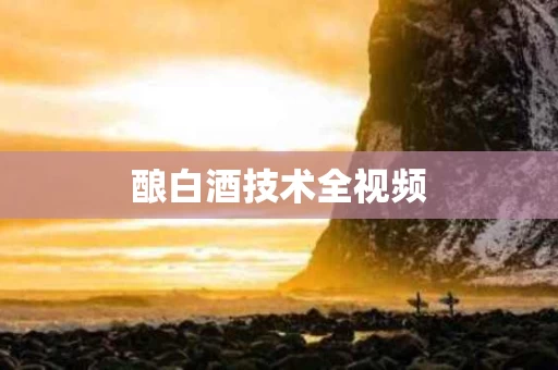 酿白酒技术全视频