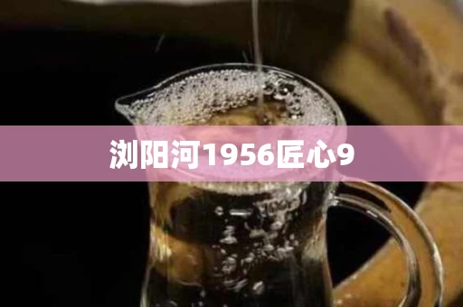 浏阳河1956匠心9