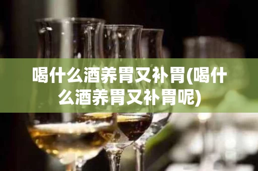喝什么酒养胃又补胃(喝什么酒养胃又补胃呢)