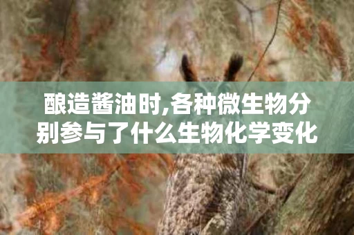 酿造酱油时,各种微生物分别参与了什么生物化学变化（酿造酱油的微生物种类）