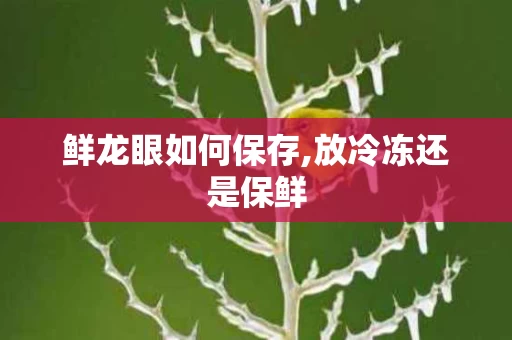 鲜龙眼如何保存,放冷冻还是保鲜