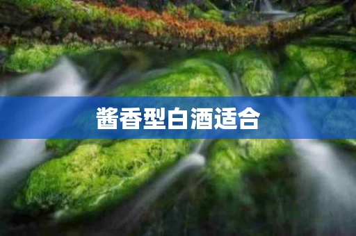 酱香型白酒适合