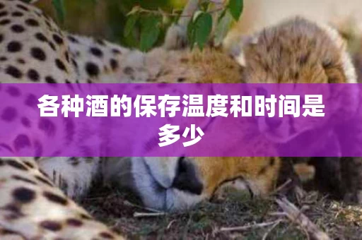 各种酒的保存温度和时间是多少