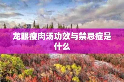 龙眼瘦肉汤功效与禁忌症是什么