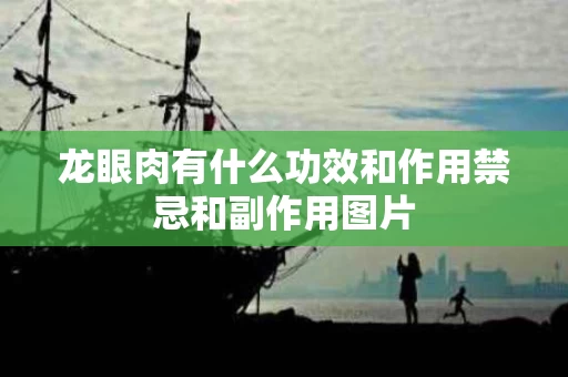 龙眼肉有什么功效和作用禁忌和副作用图片