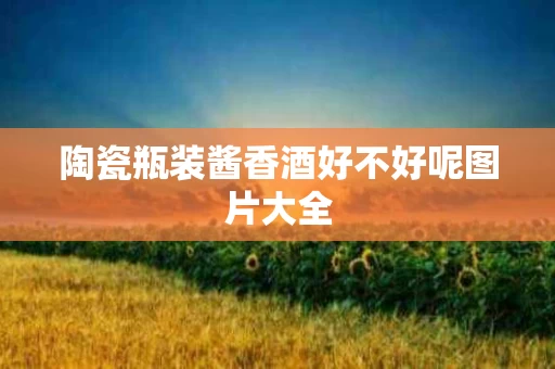 陶瓷瓶装酱香酒好不好呢图片大全