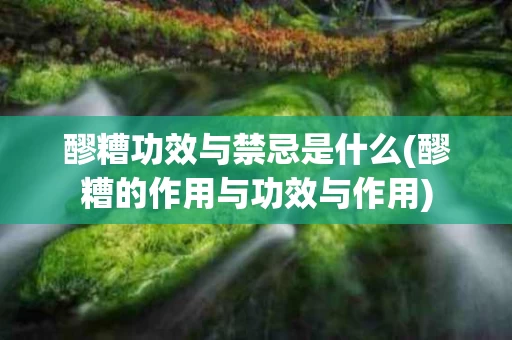 醪糟功效与禁忌是什么(醪糟的作用与功效与作用)